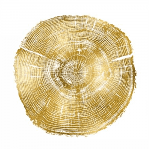 Timber Gold 03 | Print or Canvas