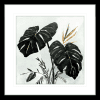 Oasis Palms 01 | Black Framed Artwork