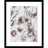 Cotton Harvest 01 | Black Framed Artwork