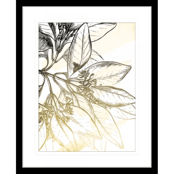 Fade Botanicals 01 | Black Framed Artwork