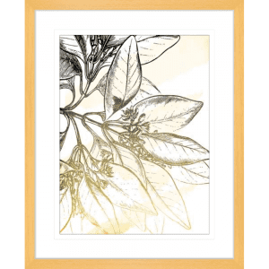 Fade Botanicals 01 | Oak Framed Artwork