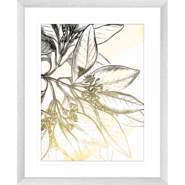 Fade Botanicals 01 | Silver Framed Artwork