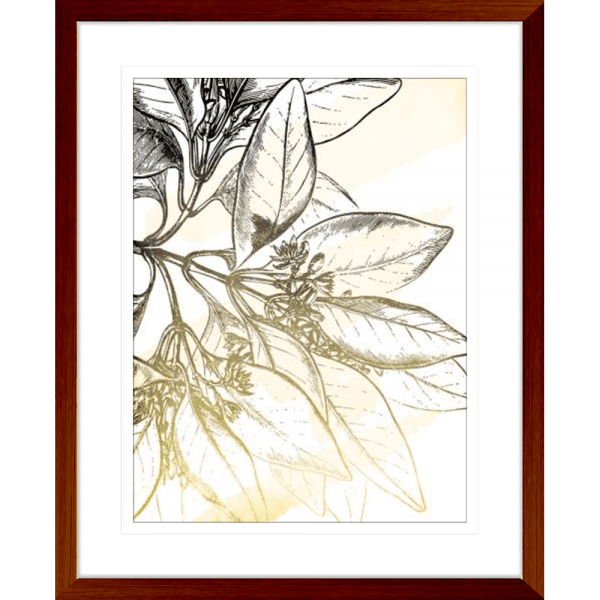 Fade Botanicals 01 | Teak Framed Artwork