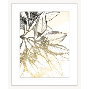 Fade Botanicals 01 | White Framed Artwork