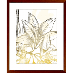 Fade Botanicals 02 | Teak Framed Artwork