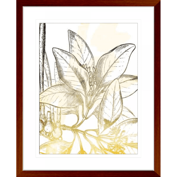 Fade Botanicals 02 | Teak Framed Artwork