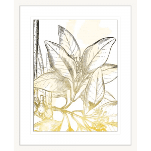 Fade Botanicals 02 | White Framed Artwork
