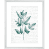 Pressed Leaves 01 | Silver Framed Artwork