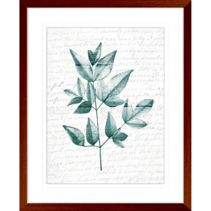 Pressed Leaves 01 | Teak Framed Artwork