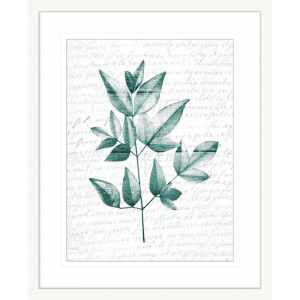 Pressed Leaves 01 | White Framed Artwork