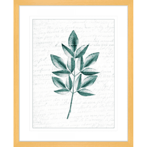 Pressed Leaves 02 | Oak Framed Artwork
