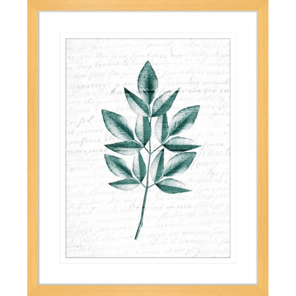 Pressed Leaves 02 | Oak Framed Artwork