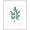 Pressed Leaves 02 | Silver Framed Artwork