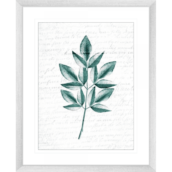 Pressed Leaves 02 | Silver Framed Artwork
