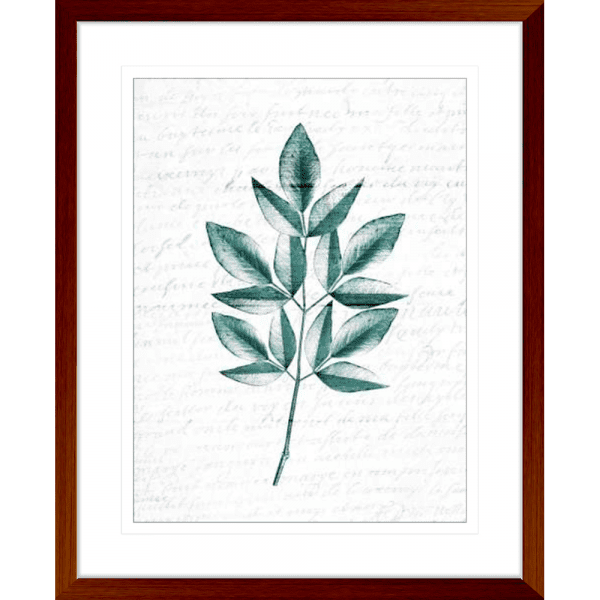 Pressed Leaves 02 | Teak Framed Artwork