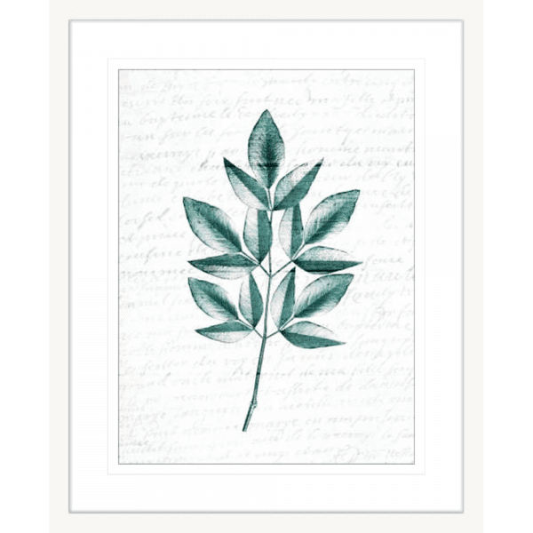 Pressed Leaves 02 | White Framed Artwork