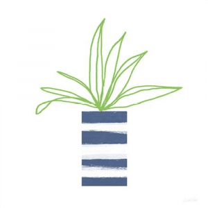 Striped Pot 02 | Print or Canvas