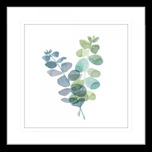 Natural Inspiration Blue Eucalyptus 01 | Black Framed Artwork