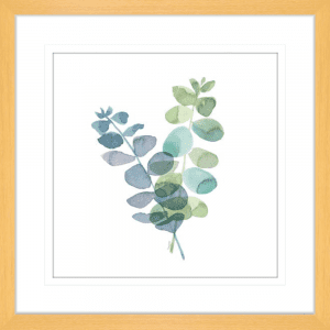 Natural Inspiration Blue Eucalyptus 01 | Oak Framed Artwork