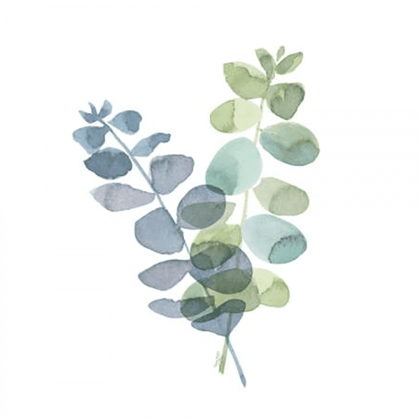 Natural Inspiration Blue Eucalyptus 01 | Print or Canvas