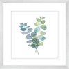 Natural Inspiration Blue Eucalyptus 01 | Silver Framed Artwork