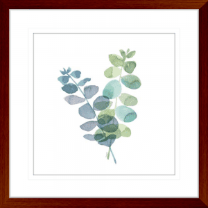Natural Inspiration Blue Eucalyptus 01 | Teak Framed Artwork