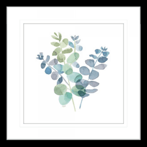 Natural Inspiration Blue Eucalyptus 02 | Black Framed Artwork