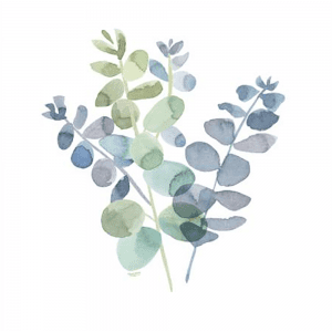 Natural Inspiration Blue Eucalyptus 02 | Print or Canvas