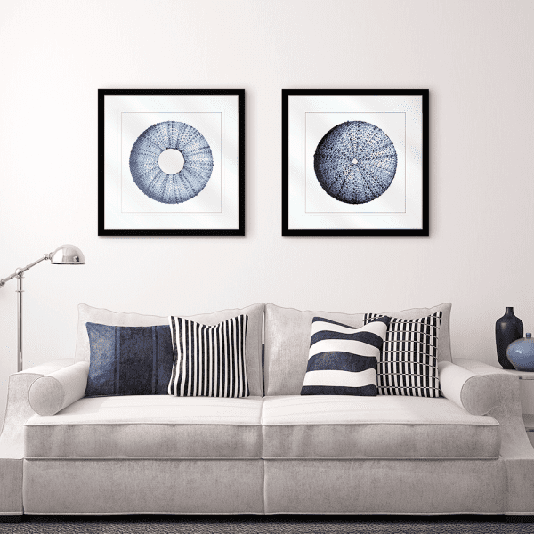 Urchin Shell | Artwork Styled Room
