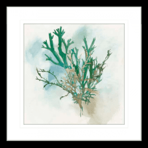 Green Coral 01 | Black Framed Artwork