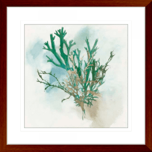 Green Coral 01 | Teak Framed Artwork