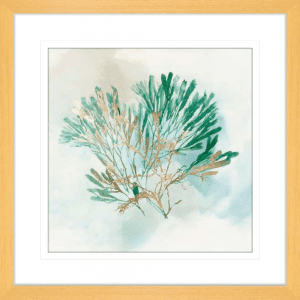Green Coral 03 | Oak Framed Artwork