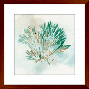 Green Coral 03 | Teal Framed Artwork