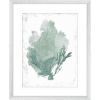 Teal Delicate Coral 01 | Silver Framed Artwork