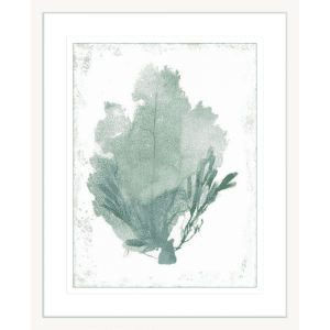 Teal Delicate Coral 01 | White Framed Artwork