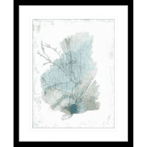 Teal Delicate Coral 02 | Black Framed Artwork