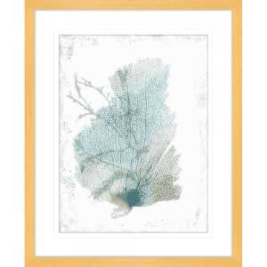 Teal Delicate Coral 02 | Oak Framed Artwork