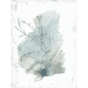 Teal Delicate Coral 02 | Print or Canvas