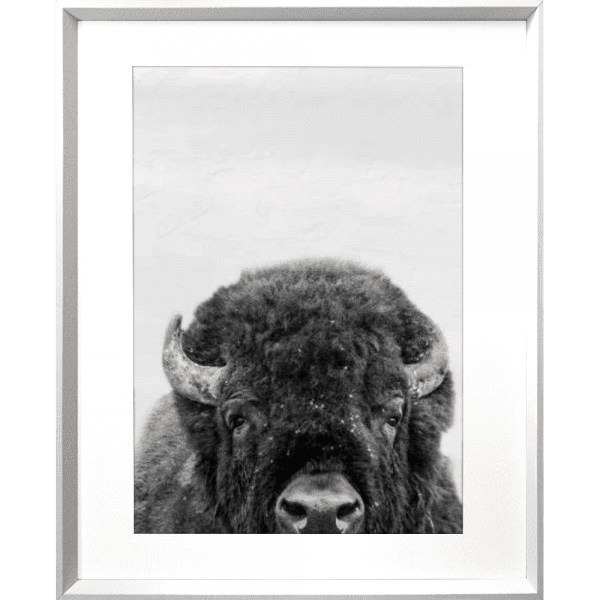 Call of the wild 02 | White Deep Dish Framed Print