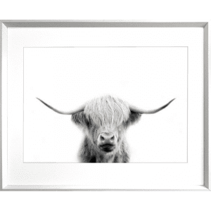 Call of the wild 03 | White Deep Dish Framed Print