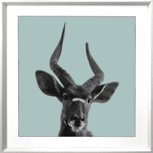 Call of the wild 04 | White Deep Dish Framed Print