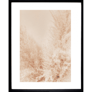 Fairy Floss 01 | Black Deep Dish Framed Print