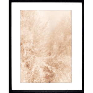 Fairy Floss 02 | Black Deep Dish Framed Print