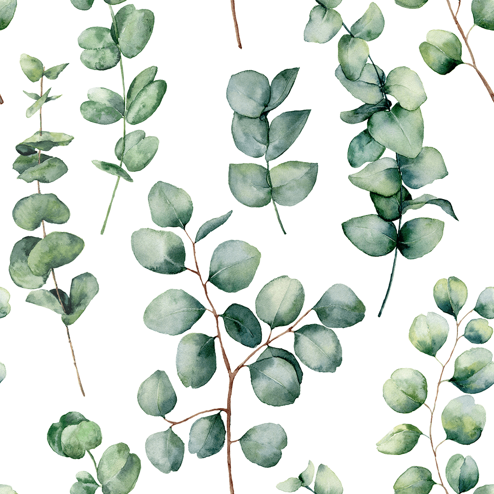 Round Eucalyptus Wallpaper Mint Art Co