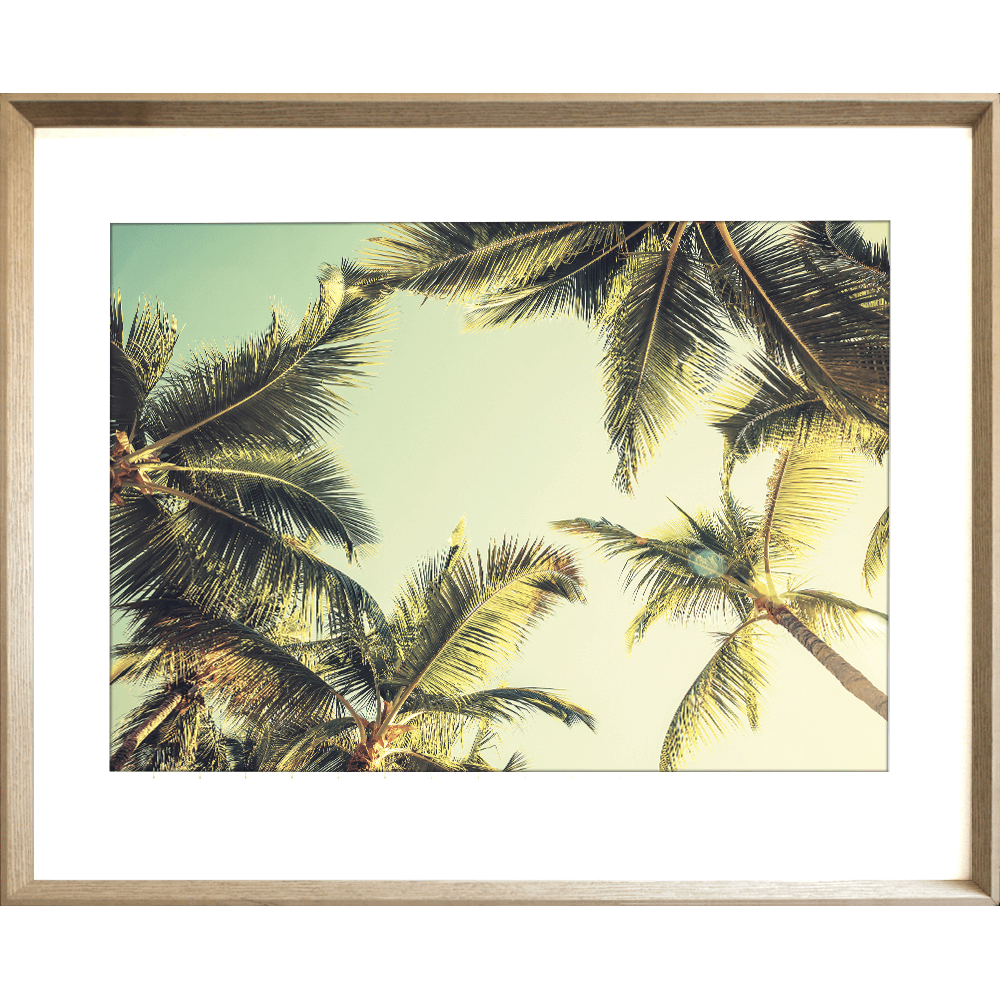 Florida Keys 04 - Studio Collection - Mint Art Co